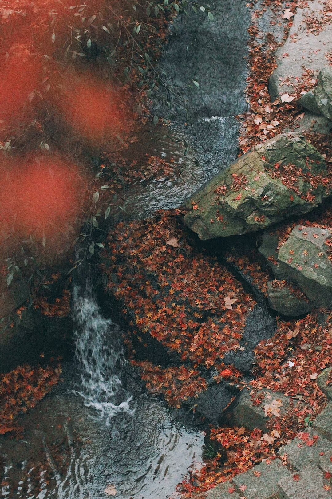 桐廬·云溪上，想要大片的田園被云朵環(huán)繞!