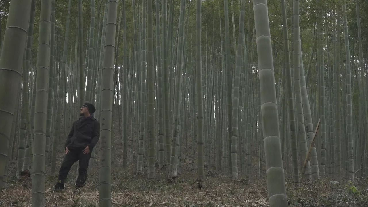 桐廬·云溪上，想要大片的田園被云朵環(huán)繞!