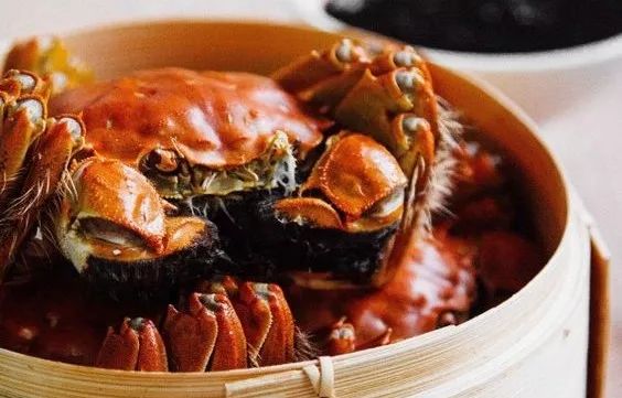 蘇州·泊悅灣，城市鄉(xiāng)村間人們何嘗不是兩棲動(dòng)物