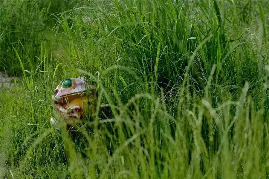 蘇州·泊悅灣，城市鄉(xiāng)村間人們何嘗不是兩棲動物