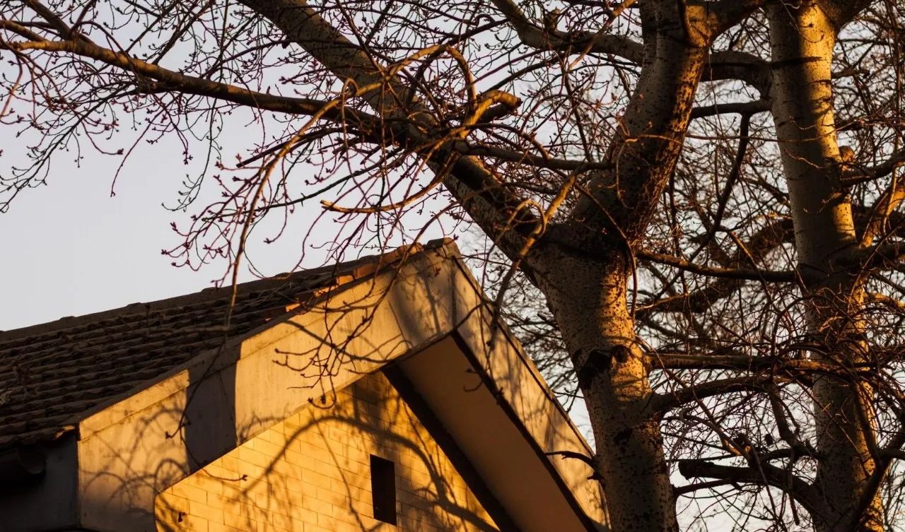 蘇州·泊悅灣，城市鄉(xiāng)村間人們何嘗不是兩棲動物