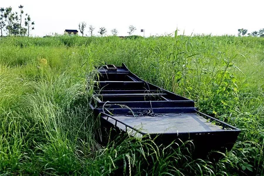 蘇州·泊悅灣，城市鄉(xiāng)村間人們何嘗不是兩棲動(dòng)物