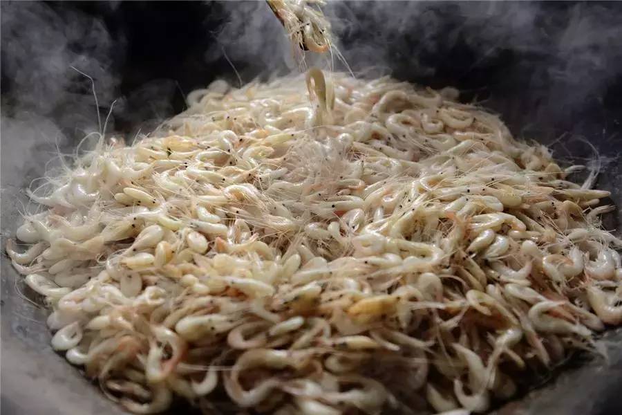 蘇州·泊悅灣，城市鄉(xiāng)村間人們何嘗不是兩棲動(dòng)物