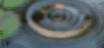 蘇州·泊悅灣，城市鄉(xiāng)村間人們何嘗不是兩棲動物