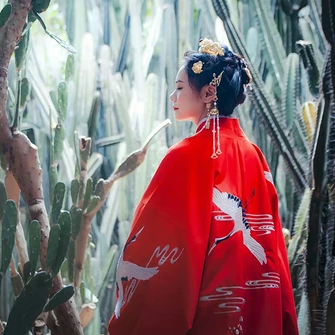 紅衣仙鶴帶傘女生頭像，唯美古風(fēng)真人頭像