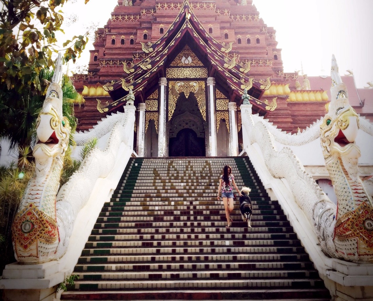 麗江束河·雲(yún)山南，相愛真的是一種奇跡