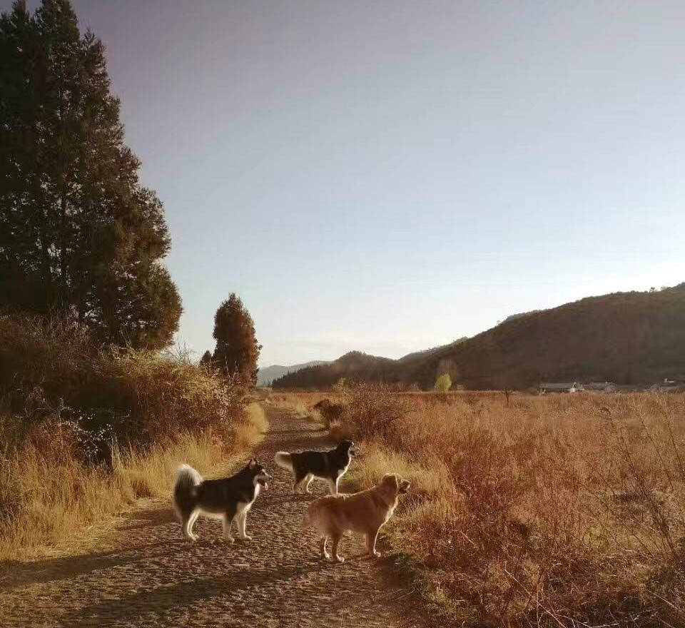 麗江束河·雲(yún)山南，相愛(ài)真的是一種奇跡