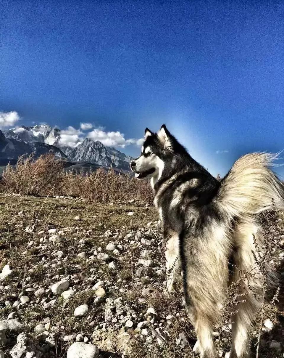 麗江束河·雲(yún)山南，相愛(ài)真的是一種奇跡