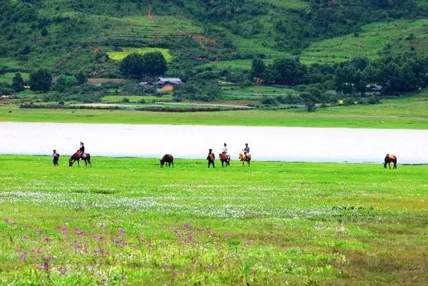 麗江束河·雲(yún)山南，相愛真的是一種奇跡