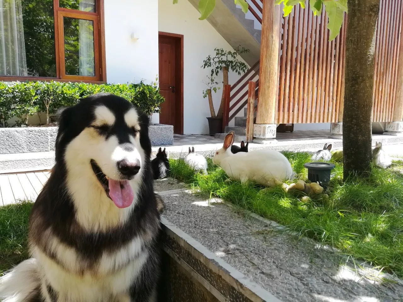 麗江束河·雲(yún)山南，相愛真的是一種奇跡