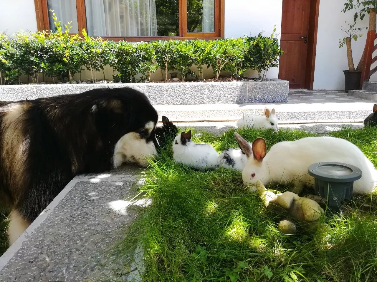 麗江束河·雲(yún)山南，相愛真的是一種奇跡