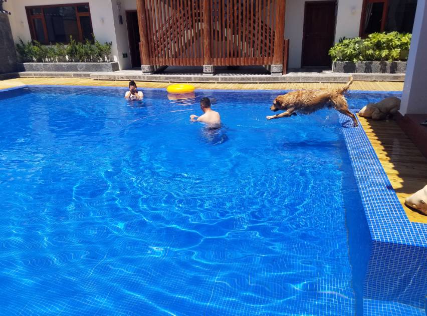 麗江束河·雲(yún)山南，相愛真的是一種奇跡