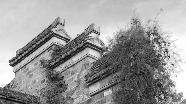 筱駐·山塘，在古鎮(zhèn)悠哉自在的遺世獨立