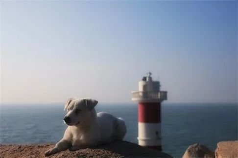 東極·塵曦，絕美的日出和嶄新的開始在等我