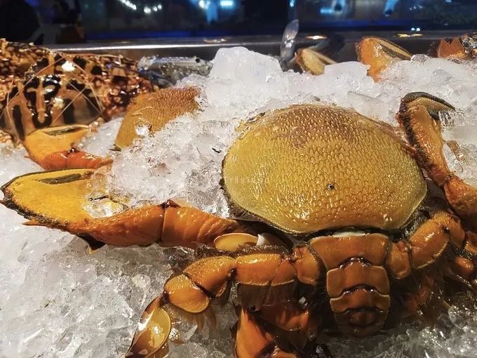 普吉島·寓薦，曬太陽(yáng)吹海風(fēng)過(guò)溫暖的海島生活