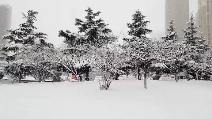 普吉島·寓薦，曬太陽吹海風(fēng)過溫暖的海島生活
