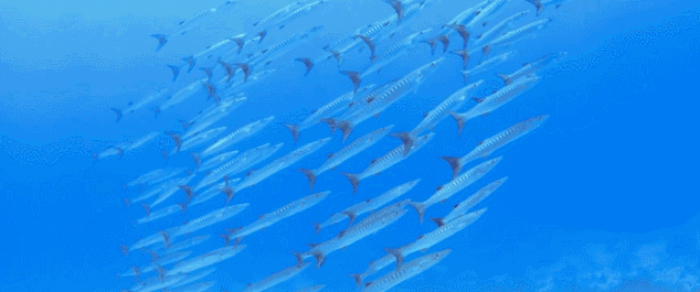 普吉島·寓薦，曬太陽吹海風過溫暖的海島生活