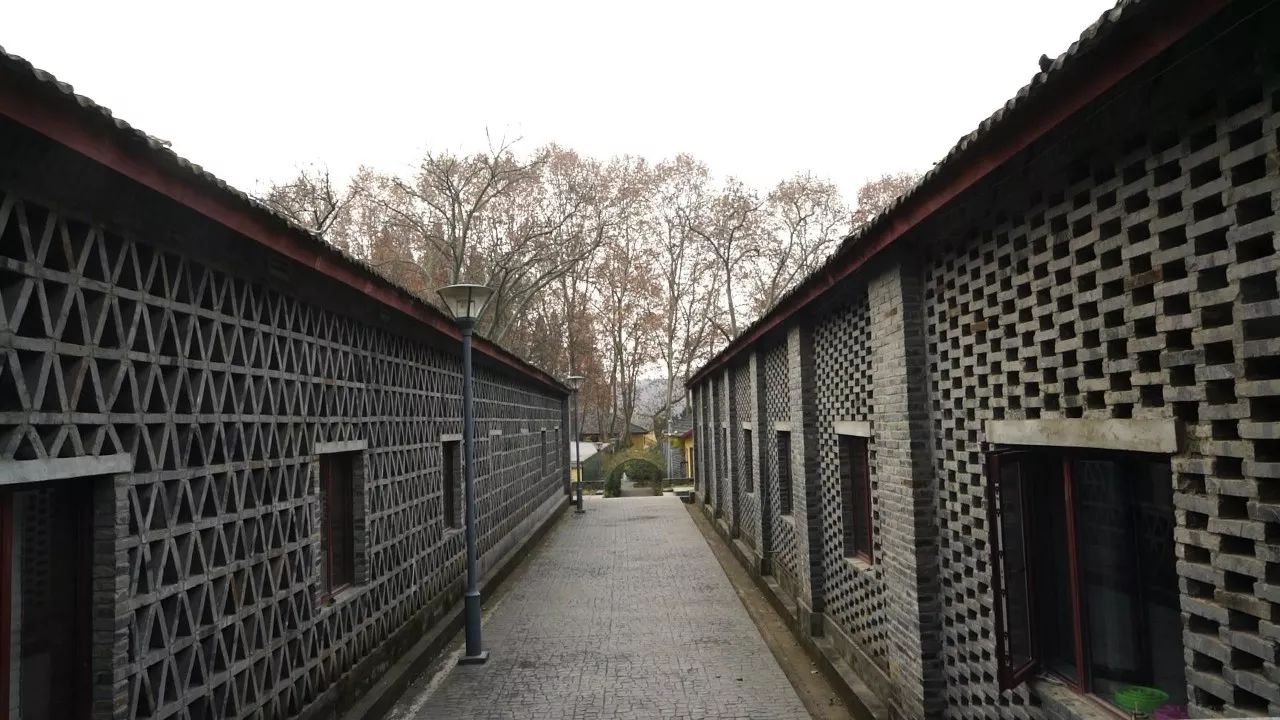 南京·老樹院子山囿里,與時(shí)光慢揉在一起彼此沉