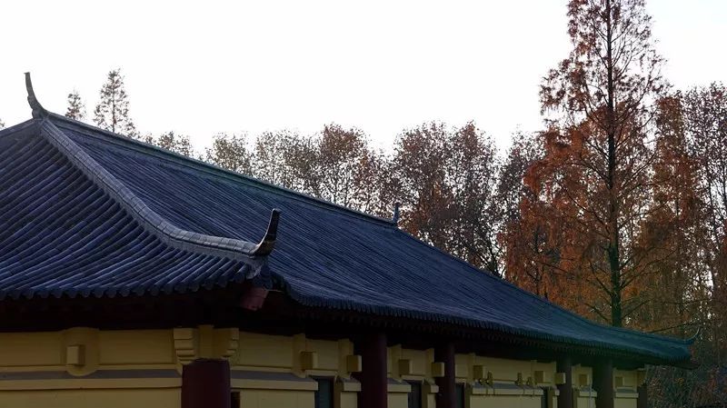 南京·老樹院子山囿里,與時(shí)光慢揉在一起彼此沉