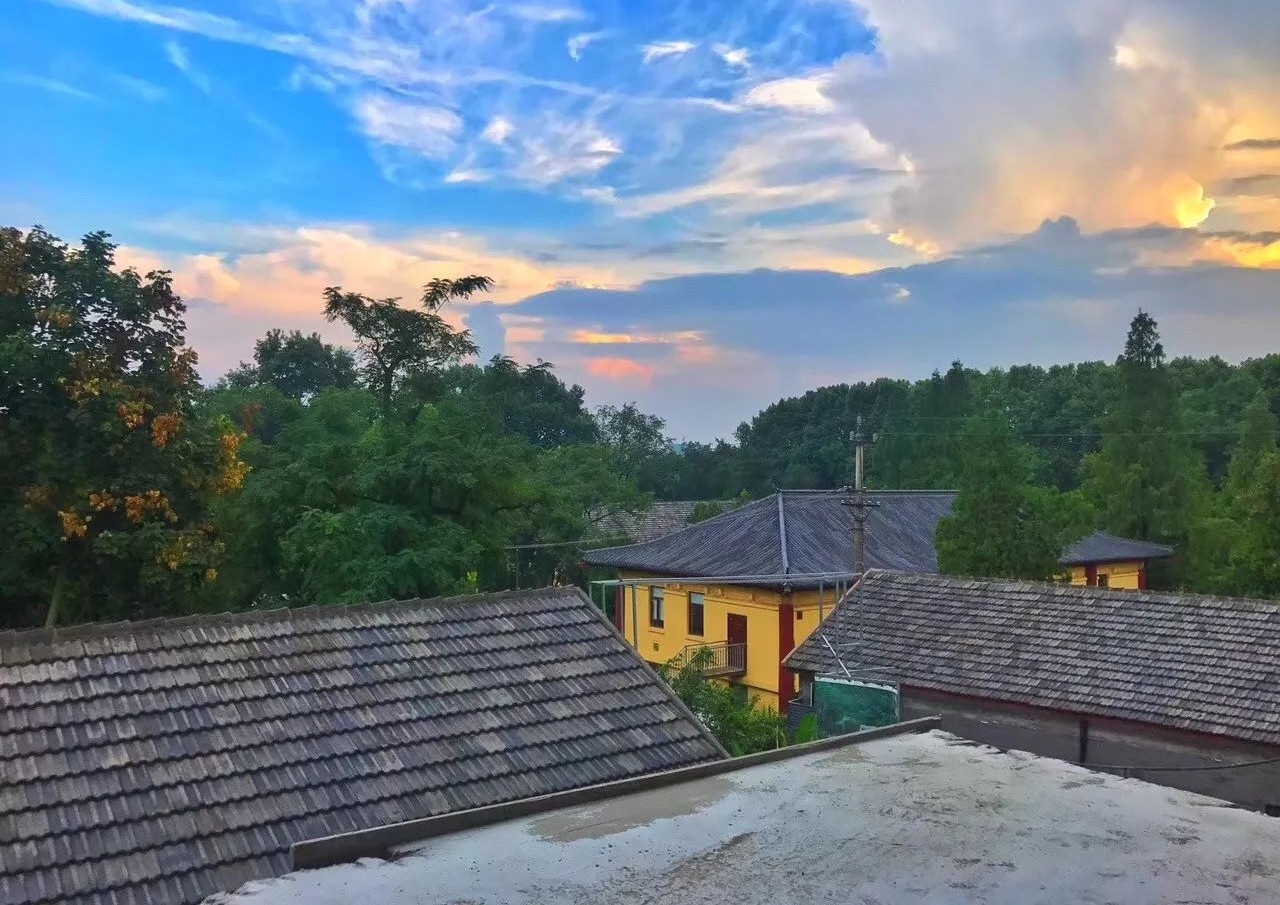 南京·老樹院子山囿里,與時(shí)光慢揉在一起彼此沉