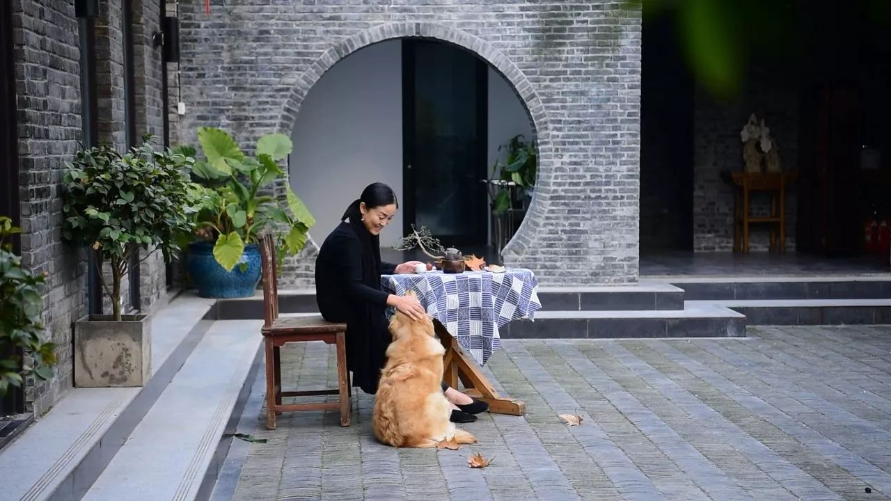 南京·老樹院子山囿里,與時光慢揉在一起彼此沉