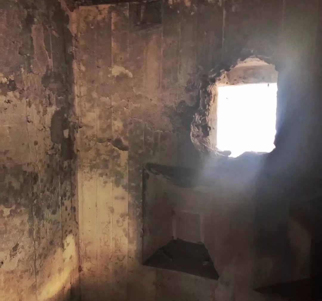 南京·老樹院子山囿里,與時光慢揉在一起彼此沉