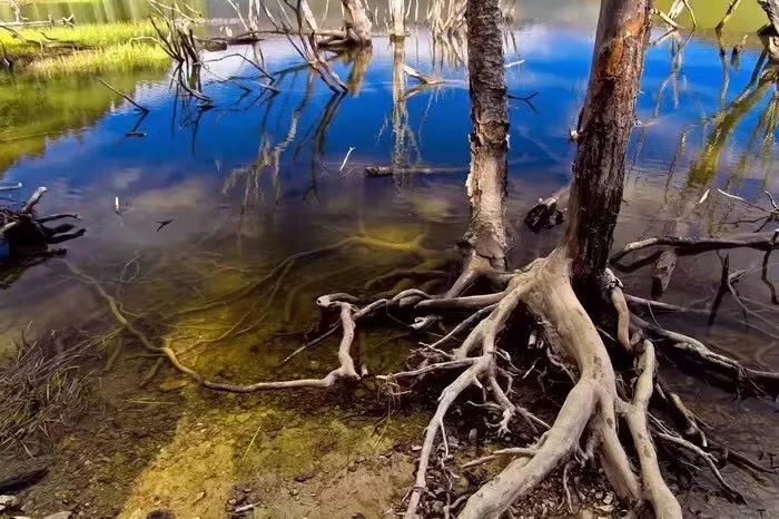 南京·老樹院子山囿里,與時光慢揉在一起彼此沉