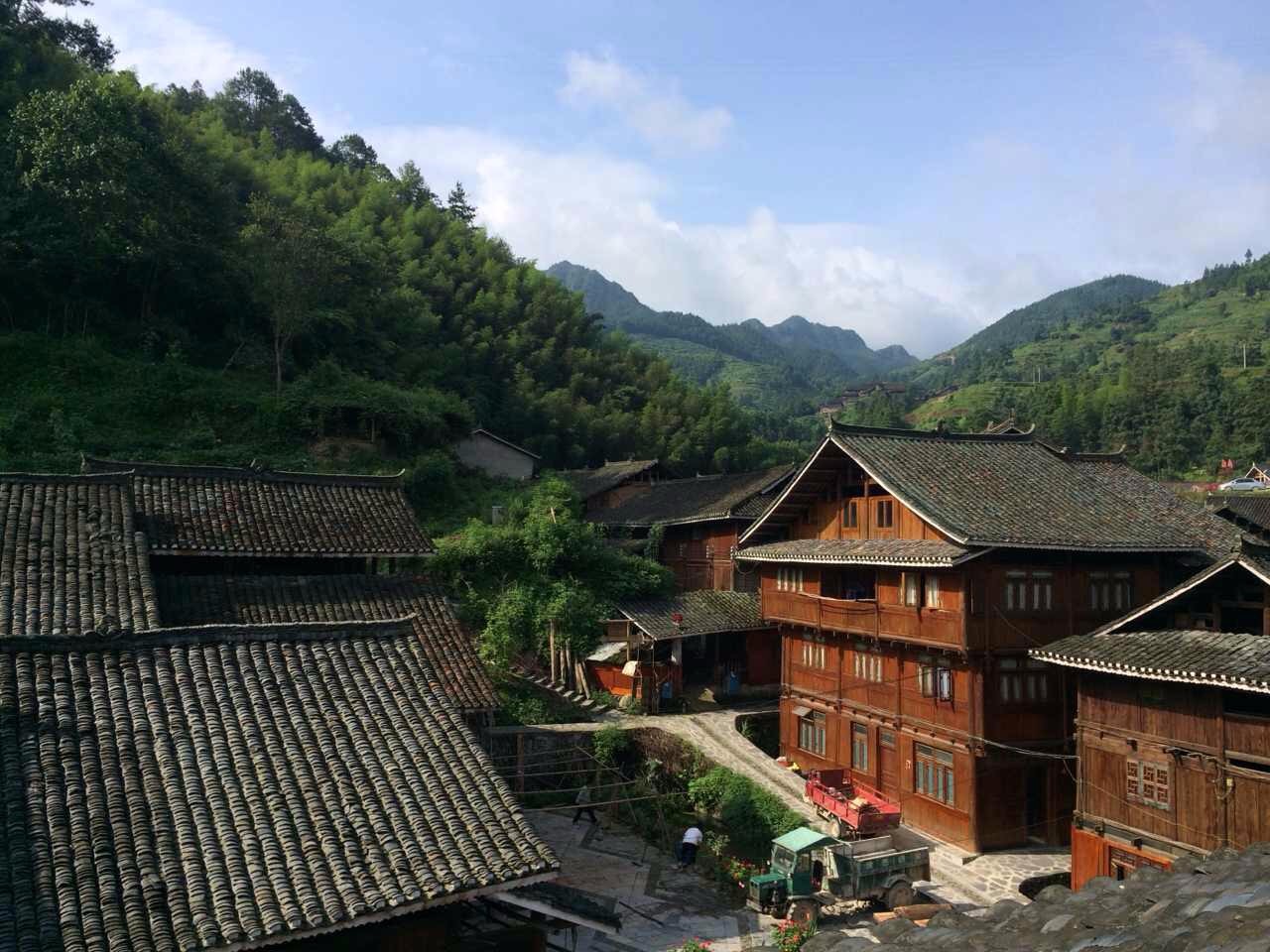 南京·老樹院子山囿里,與時光慢揉在一起彼此沉