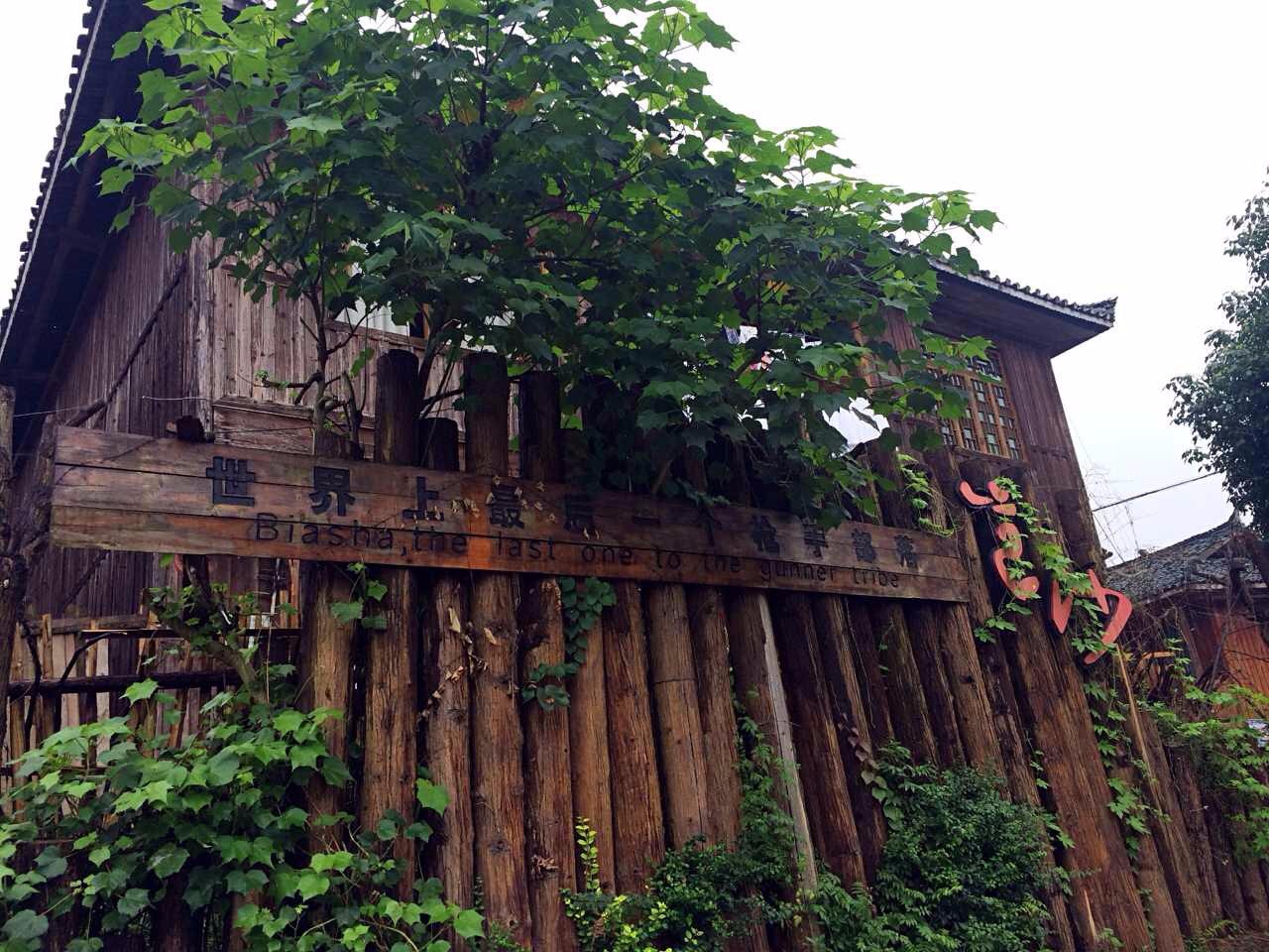 南京·老樹院子山囿里,與時光慢揉在一起彼此沉