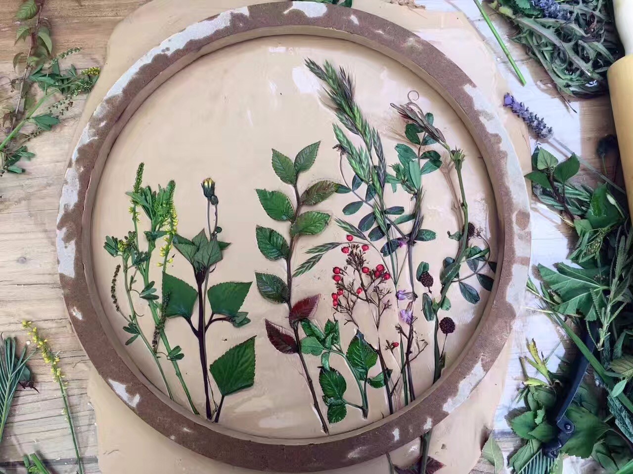 南京·老樹院子山囿里,與時(shí)光慢揉在一起彼此沉