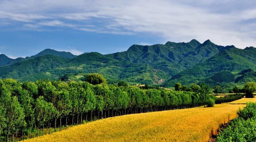 蜀中驛瓦舍旅行酒店，雅安年輕人的「老地方」