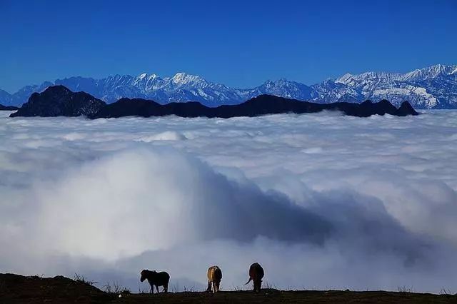 蜀中驛瓦舍旅行酒店，雅安年輕人的「老地方」