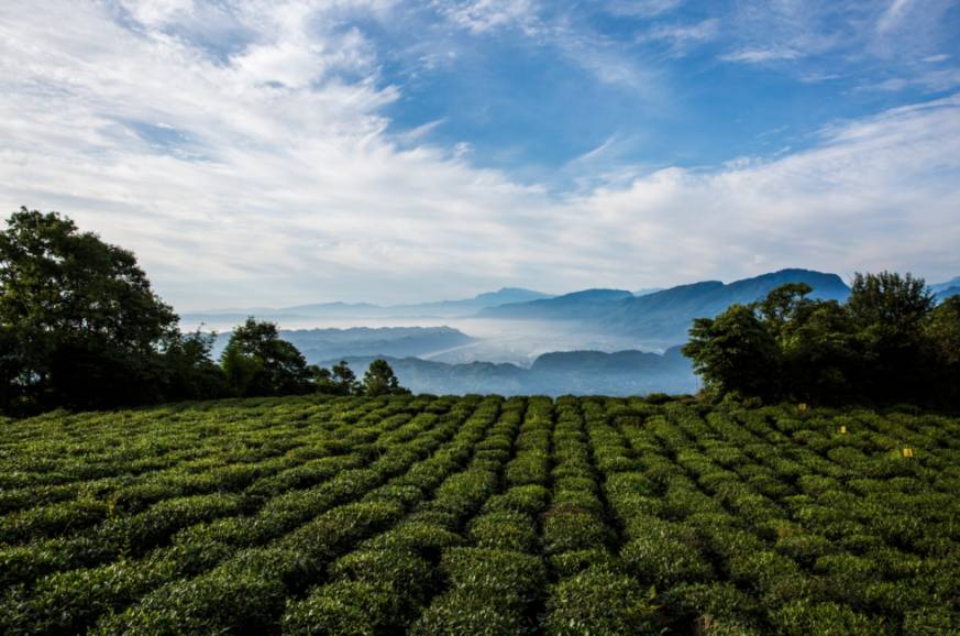 蜀中驛瓦舍旅行酒店，雅安年輕人的「老地方」
