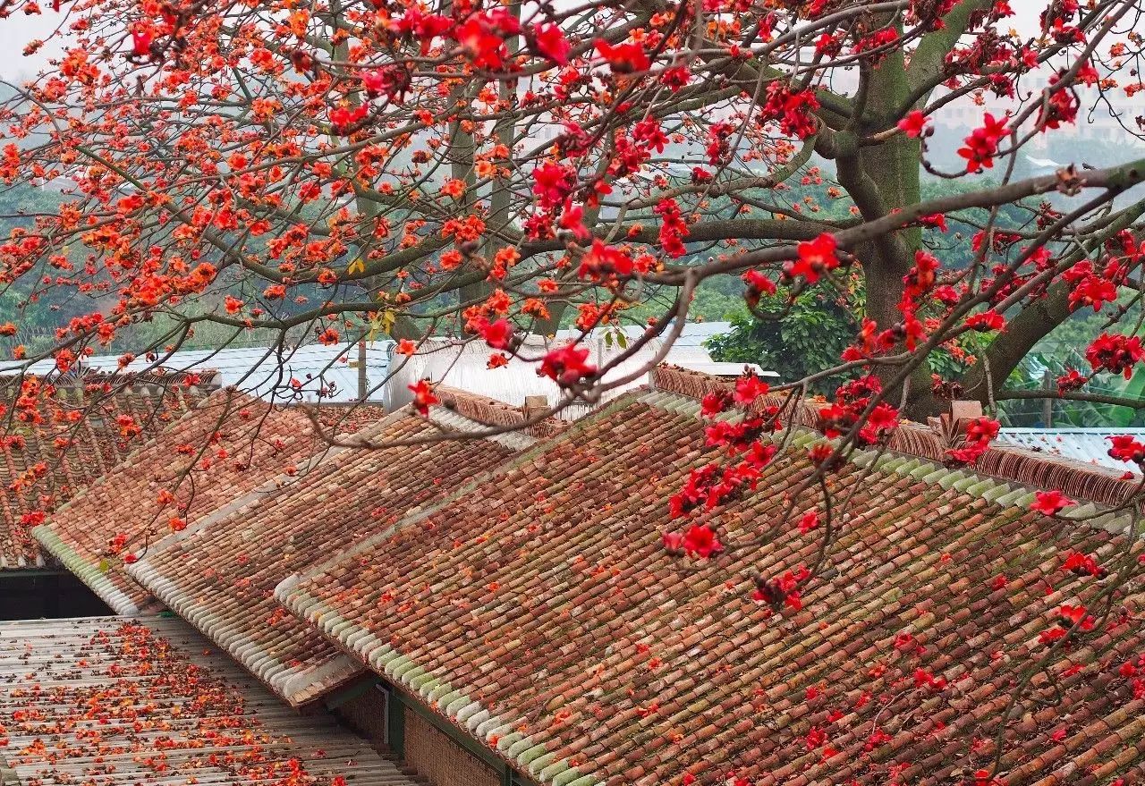 廣州·喜臨院，給這些念舊又深情的人一個禮物