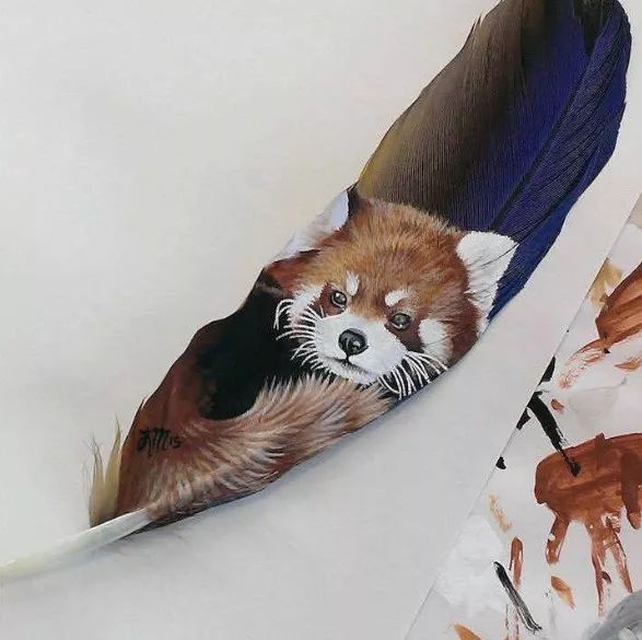 藝術源于生活:驚艷的彩繪羽毛!