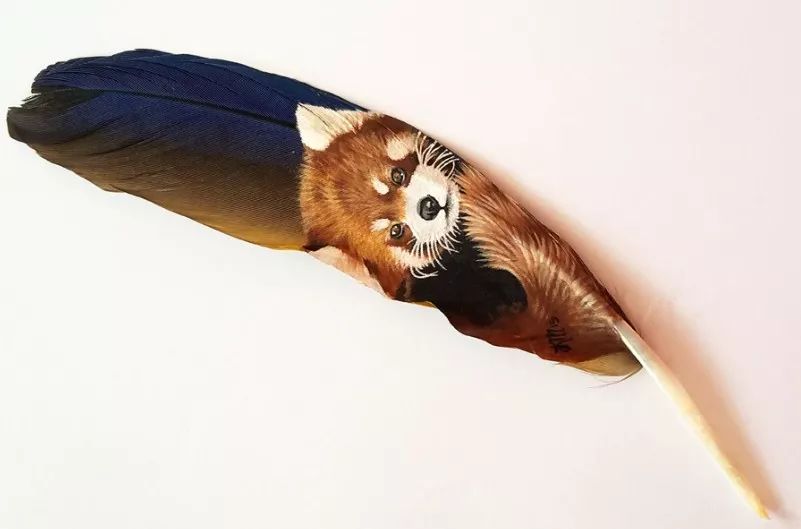 藝術源于生活:驚艷的彩繪羽毛!