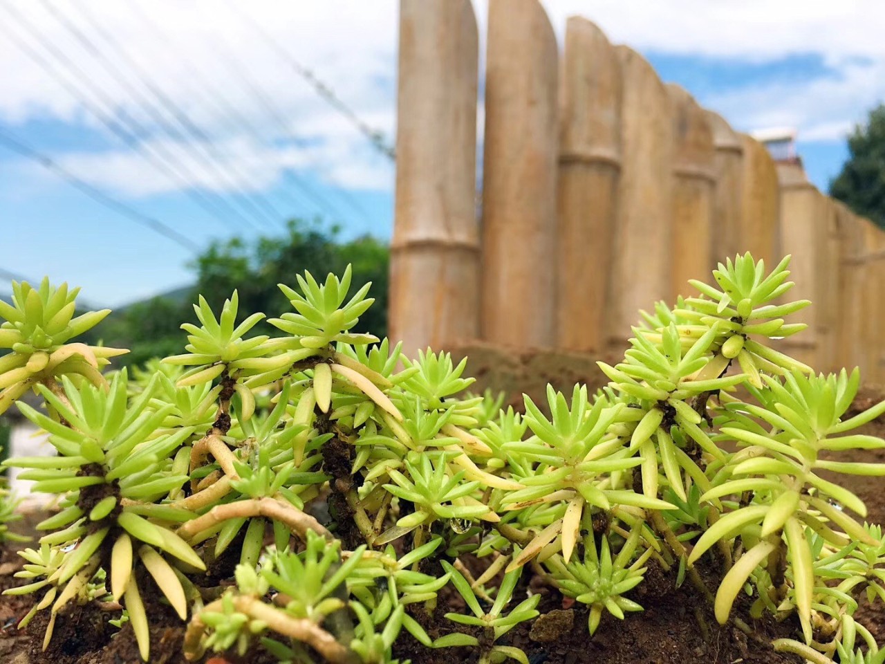 南京·匠村臥香，活在當(dāng)下傾我所有去生活