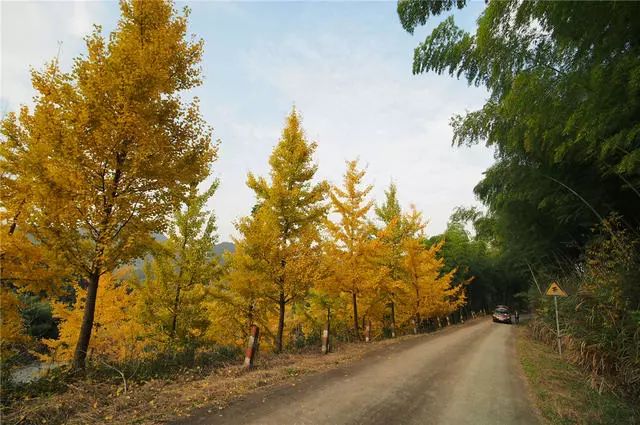 杭州·蓮社溪客，不妥協(xié)的人生才比較有趣