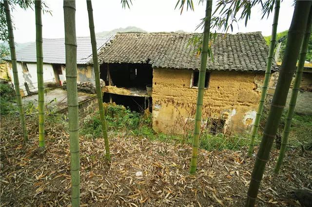 杭州·蓮社溪客，不妥協(xié)的人生才比較有趣