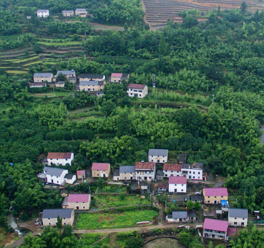 杭州·蓮社溪客，不妥協(xié)的人生才比較有趣