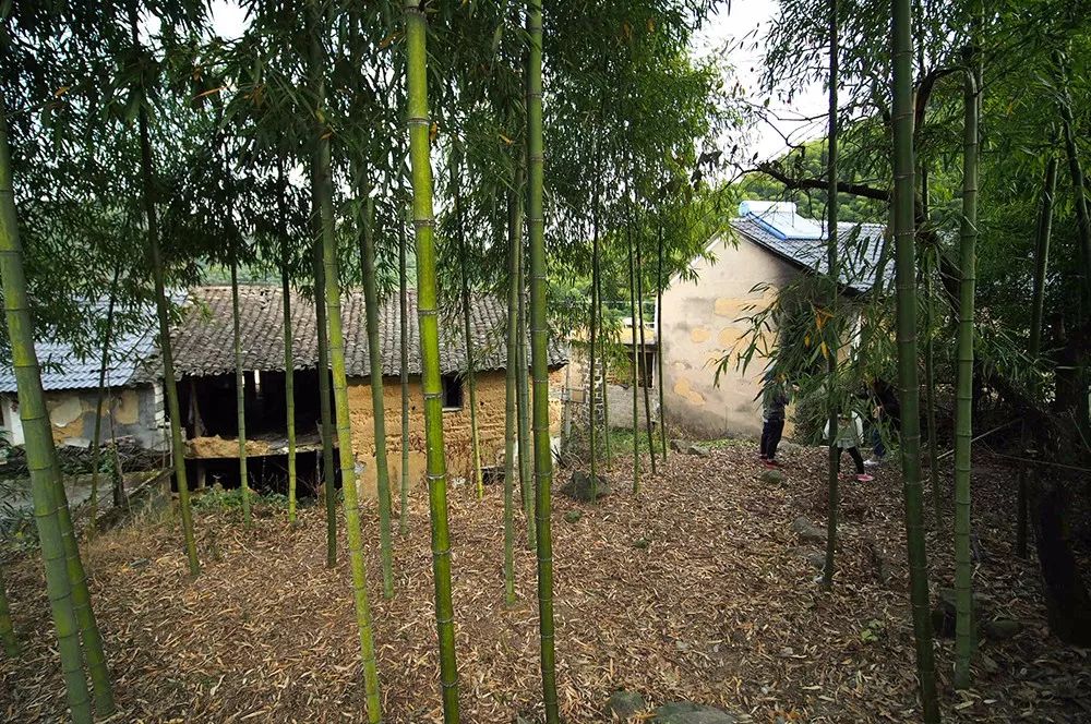 杭州·蓮社溪客，不妥協(xié)的人生才比較有趣