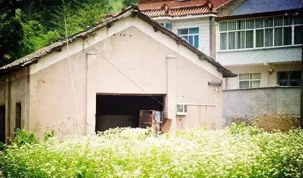 讓時(shí)光和經(jīng)歷變成一本書(shū)：中國(guó)首家圖書(shū)館民宿