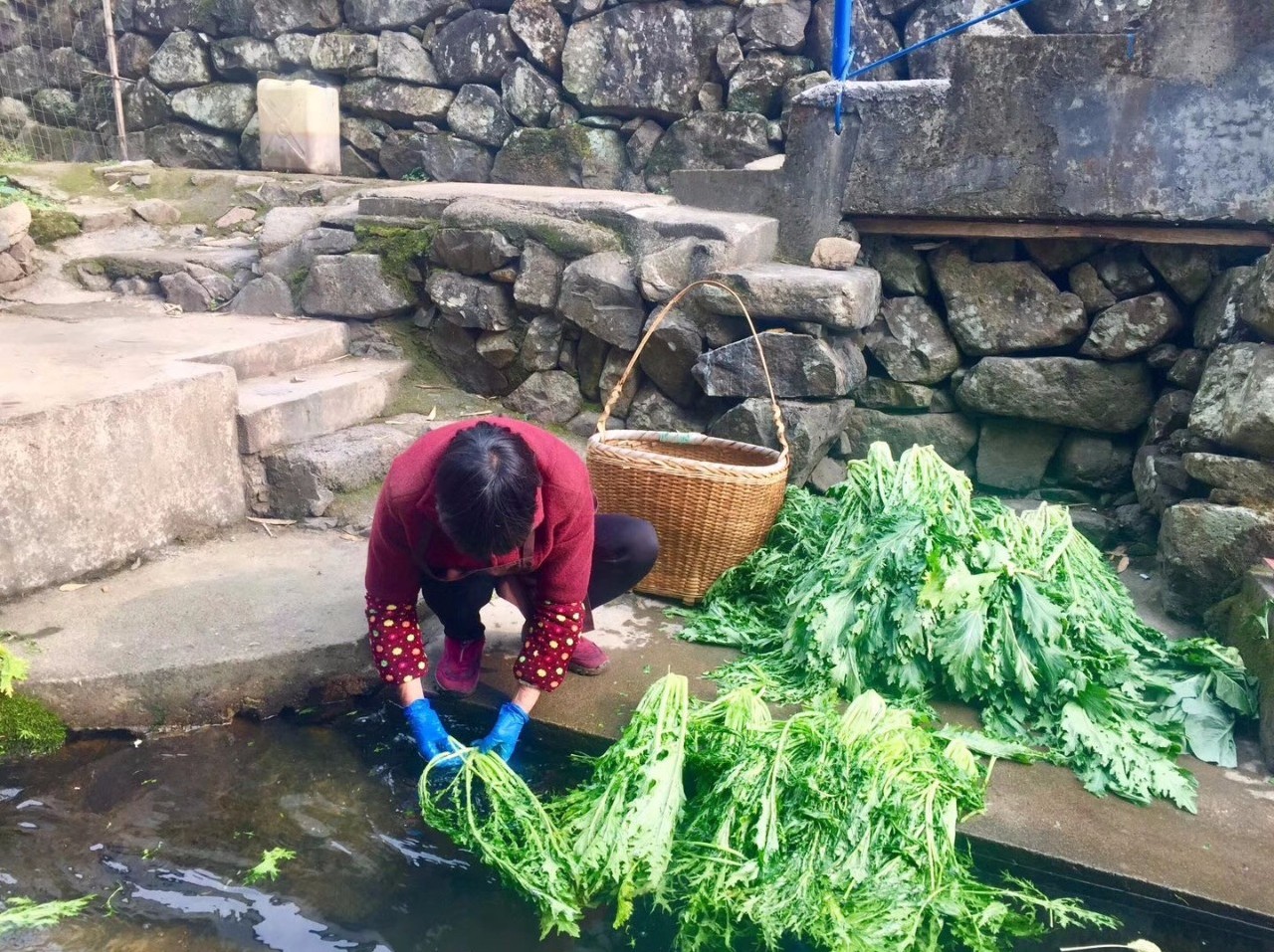 讓時光和經(jīng)歷變成一本書：中國首家圖書館民宿