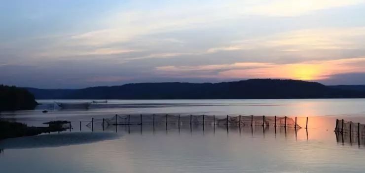 江蘇·兩可間，喚起心底一絲對傳統(tǒng)藝術的感念