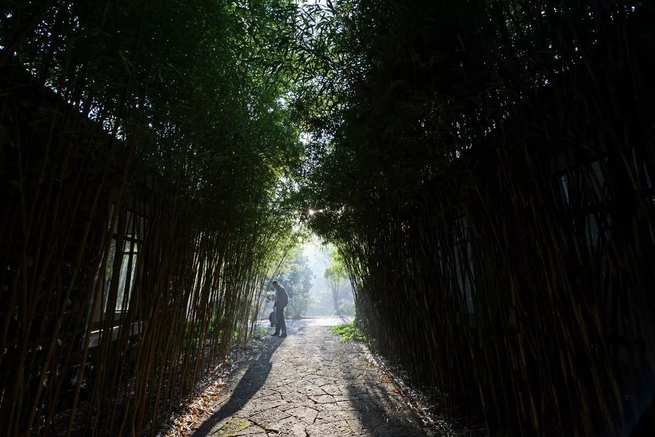 江蘇·兩可間，喚起心底一絲對傳統(tǒng)藝術(shù)的感念