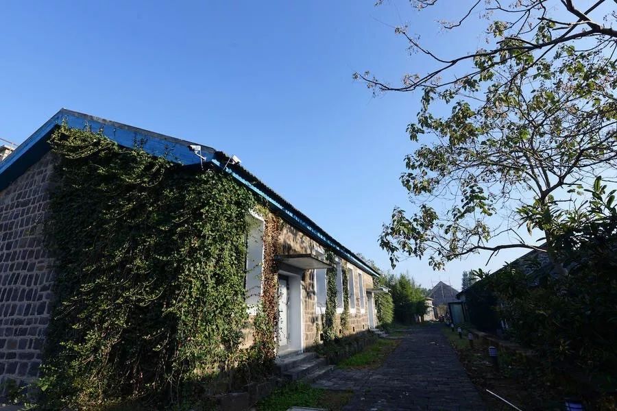 江蘇·兩可間，喚起心底一絲對(duì)傳統(tǒng)藝術(shù)的感念