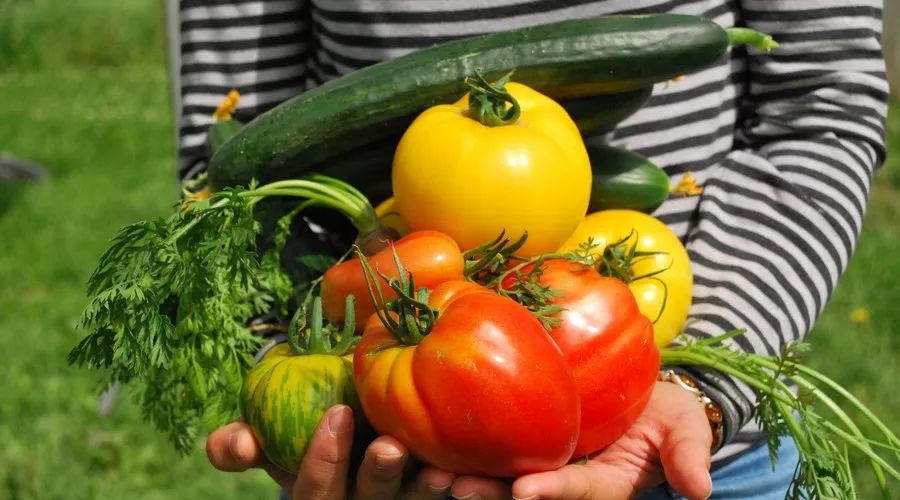 江蘇·兩可間，喚起心底一絲對(duì)傳統(tǒng)藝術(shù)的感念