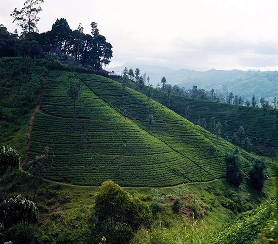 一同山居，骨子有靈魂的禪意山居!