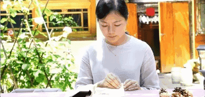 京城·63號(hào)院子，有院子老樹(shù)老北京的煙火氣息