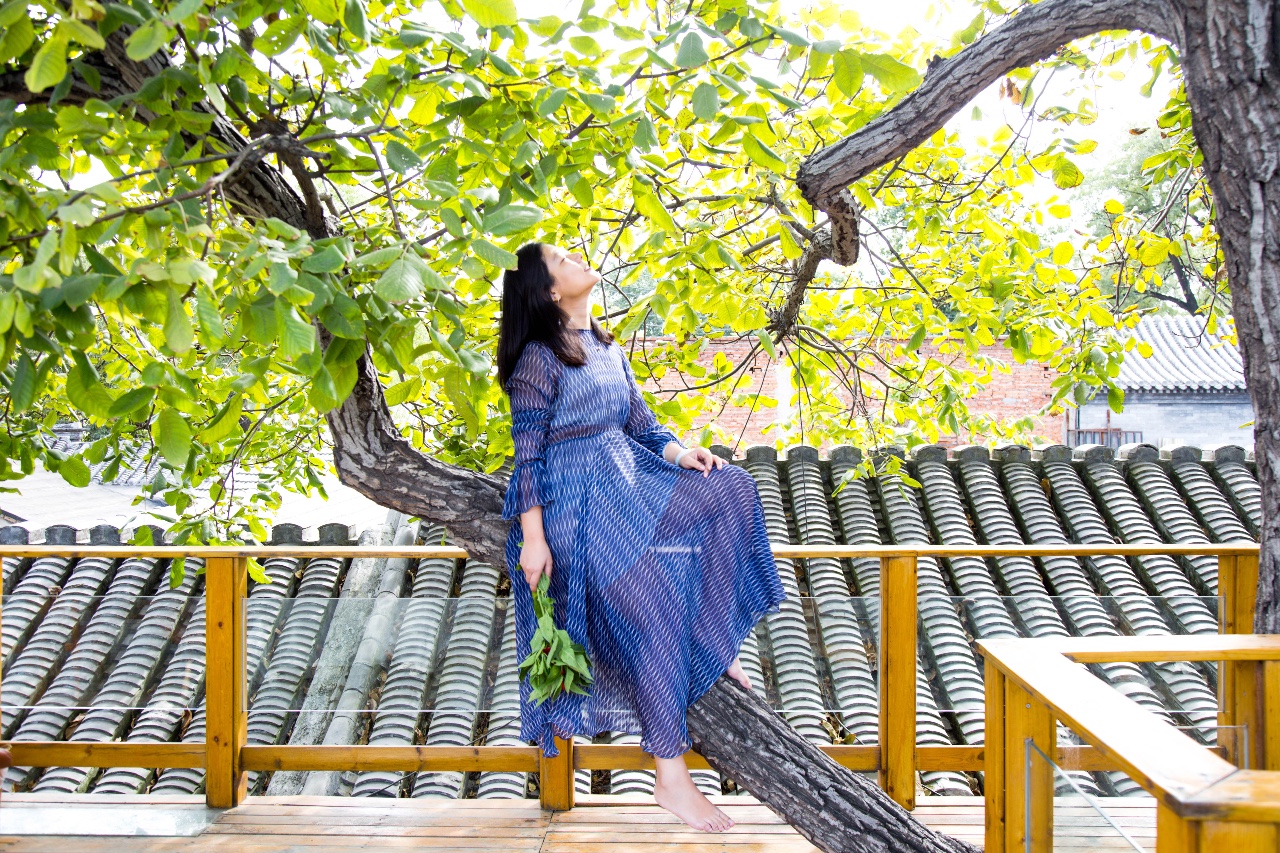 京城·63號(hào)院子，有院子老樹老北京的煙火氣息